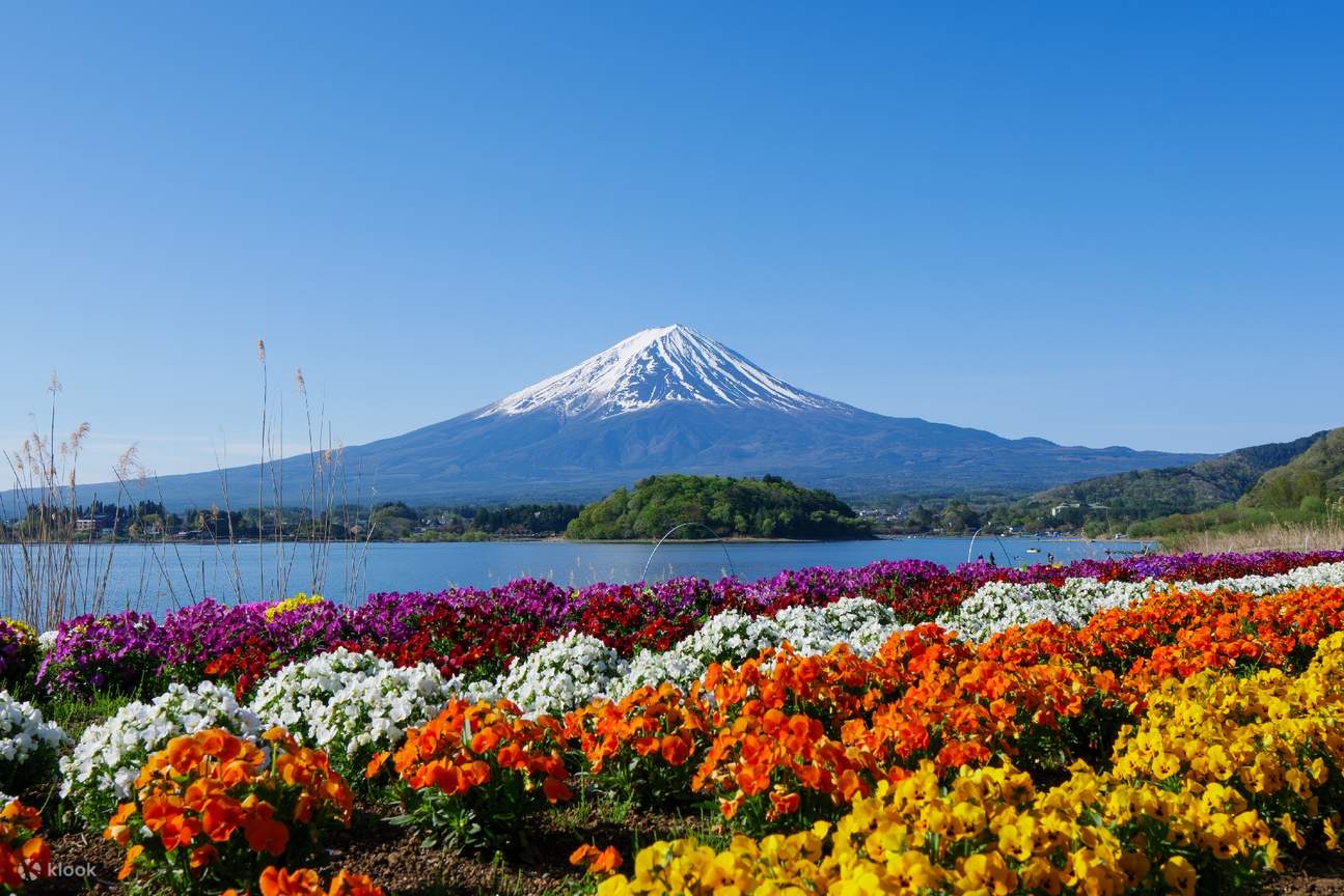 Mount Fuji Magnificent View Day Trip (From Tokyo) - Klook Australia